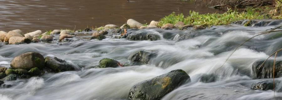 Leverstagnatie en chronische pijn — energetische behandeling Nijmegen